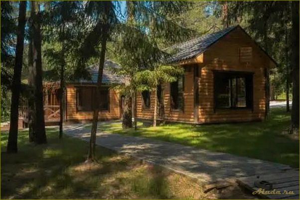 Базы отдыха Тюменской области с домиками: цены и условия проживания