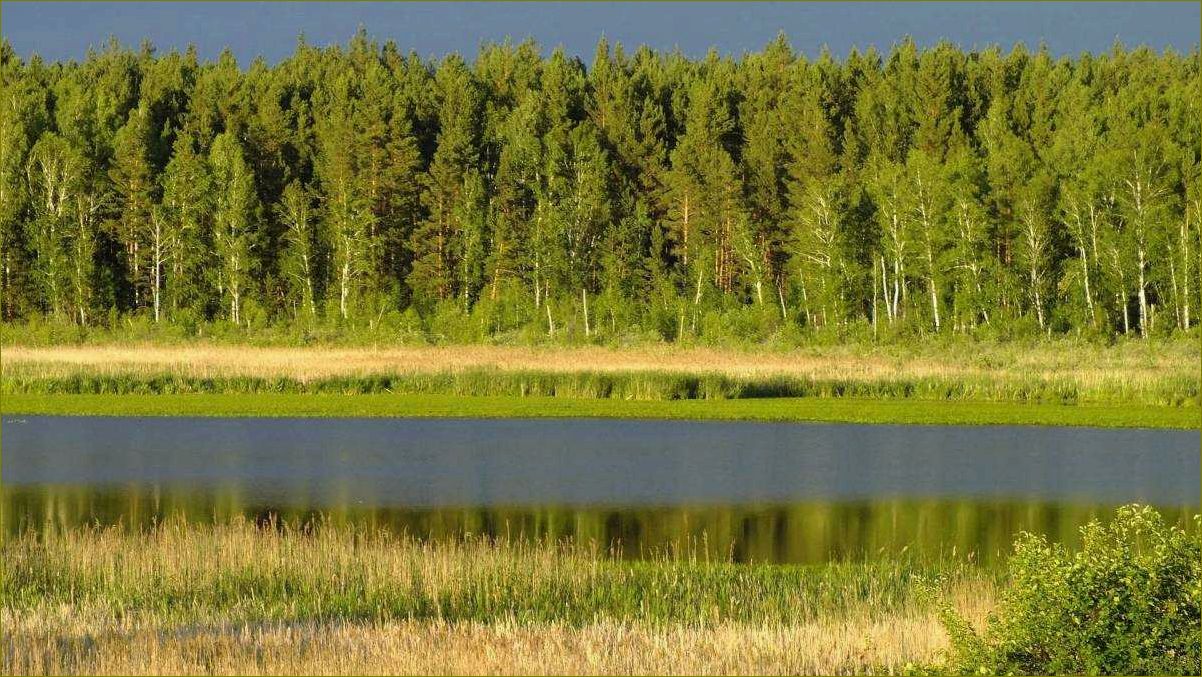 Удивительные природные достопримечательности Курганской области, которые оставят вас без ума