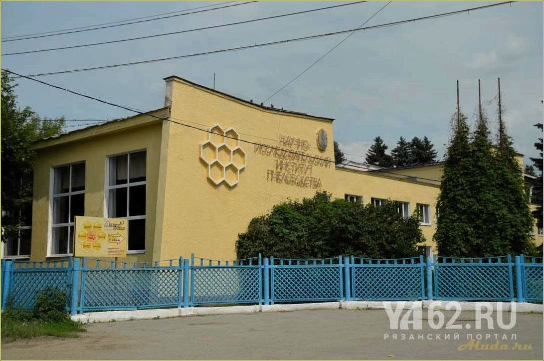 Необычные достопримечательности рыбного Рязанской области — путешествие в мир рыболовства и природы
