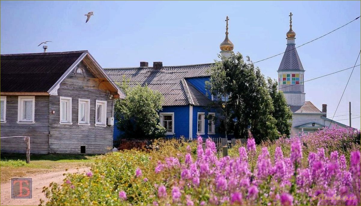 (кашкаранцы, мурманская, область, база, отдыха) Кашкаранцы — мурманская область, база отдыха, уникальные возможности для отдыхающих на природе