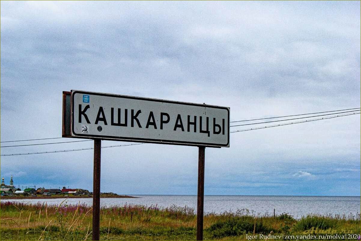 (кашкаранцы, мурманская, область, база, отдыха) Кашкаранцы — мурманская область, база отдыха, уникальные возможности для отдыхающих на природе