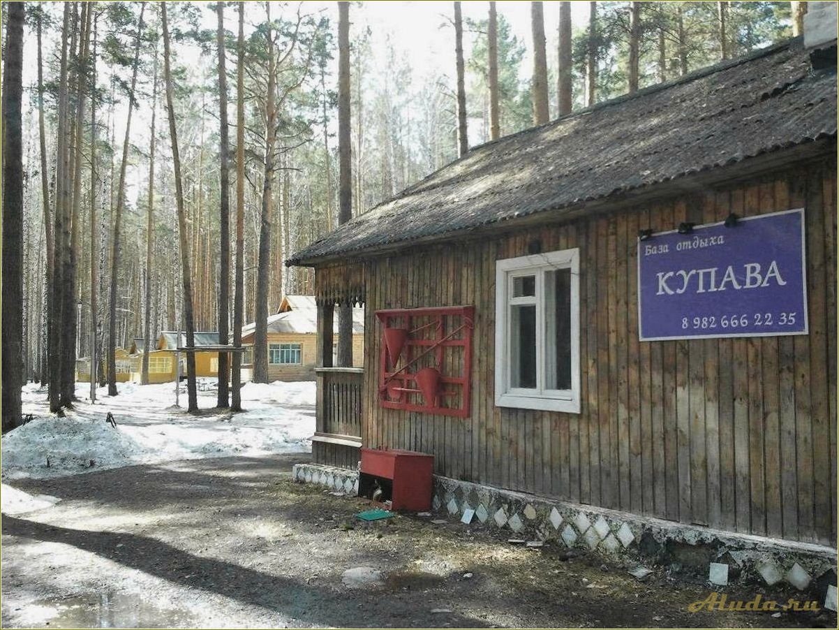 Кедровая роща база отдыха Белоярка Свердловская область