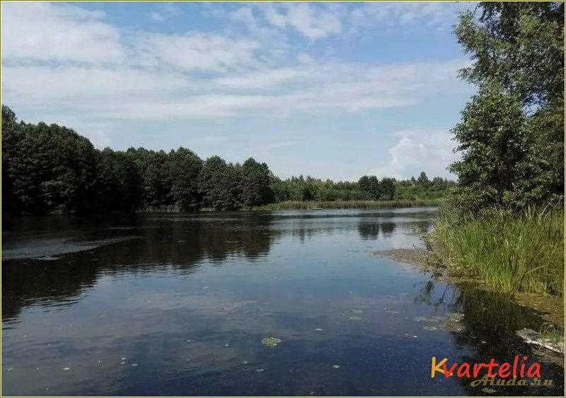 (колпино, база, отдыха, смоленской, области) Колпино: база отдыха в Смоленской области