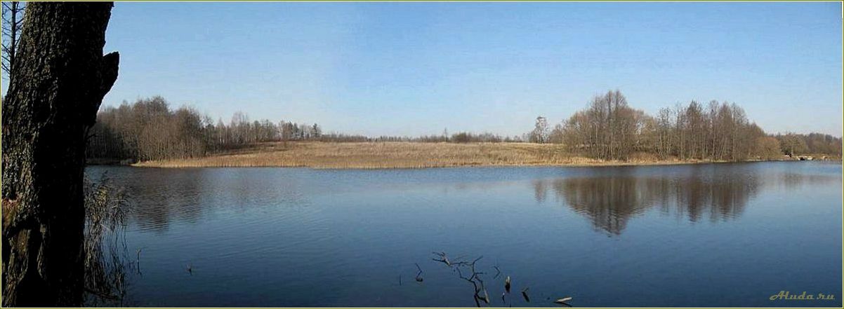 (колпино, база, отдыха, смоленской, области) Колпино: база отдыха в Смоленской области