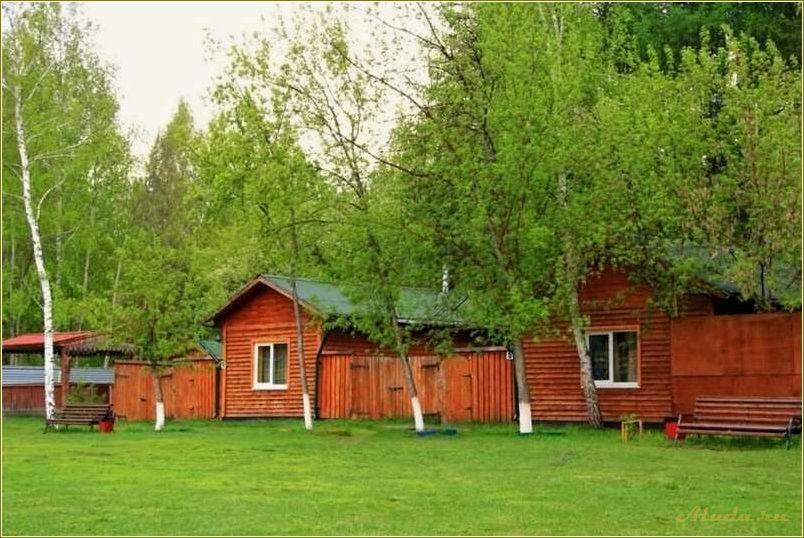 (лучшие, базы, отдыха, тюменской, области) Лучшие базы отдыха Тюменской области
