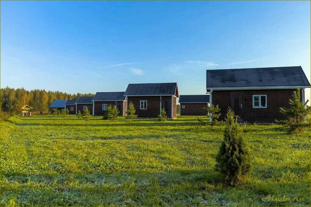 Новгородская область — идеальное место для семейного отдыха с детьми — лучшие дома отдыха, уникальные развлечения и красоты природы