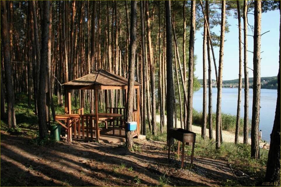 (новые, возможности, отдыха, развлечений, базы) Новые возможности для отдыха и развлечений — базы отдыха в белгородской области с уникальными условиями и комфортом