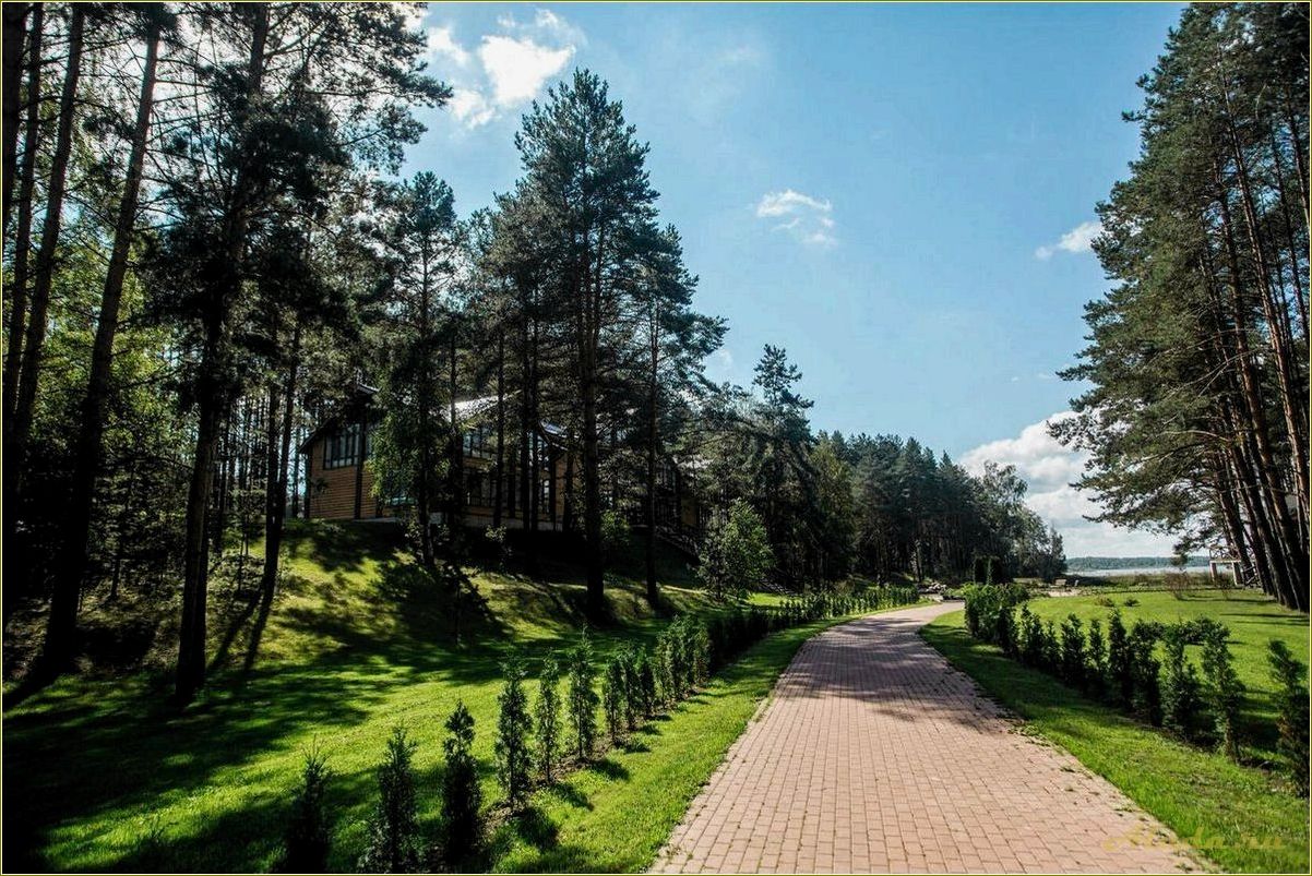 Отдых на природе в Смоленской области