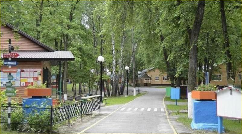 (лучшие, места, активного, отдыха, детьми) Лучшие места для активного отдыха с детьми в Белгородской области летом — идеальные варианты для семейного отпуска