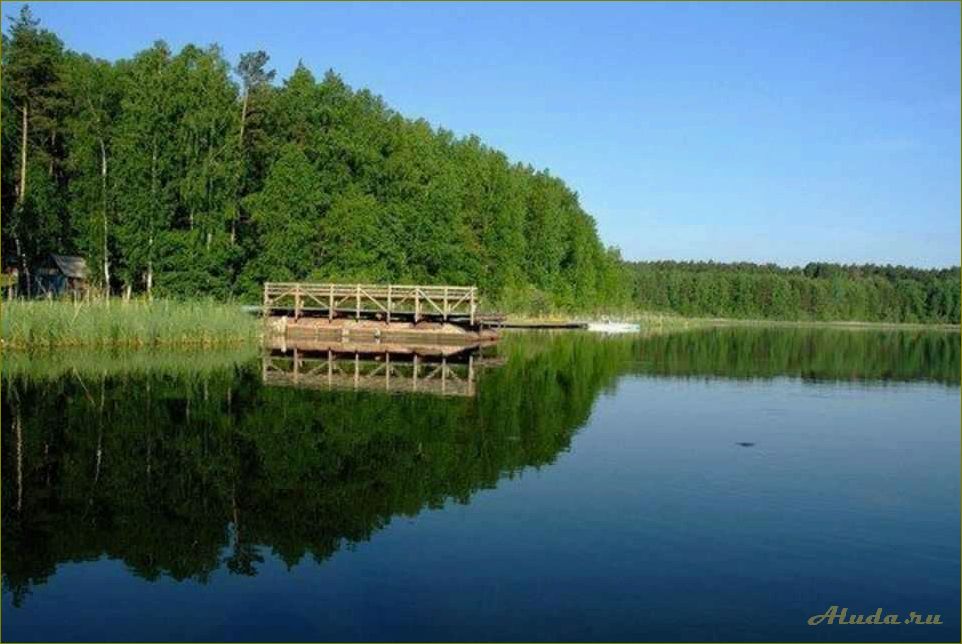 Лучшие озера Омской области для отдыха недалеко от Омска