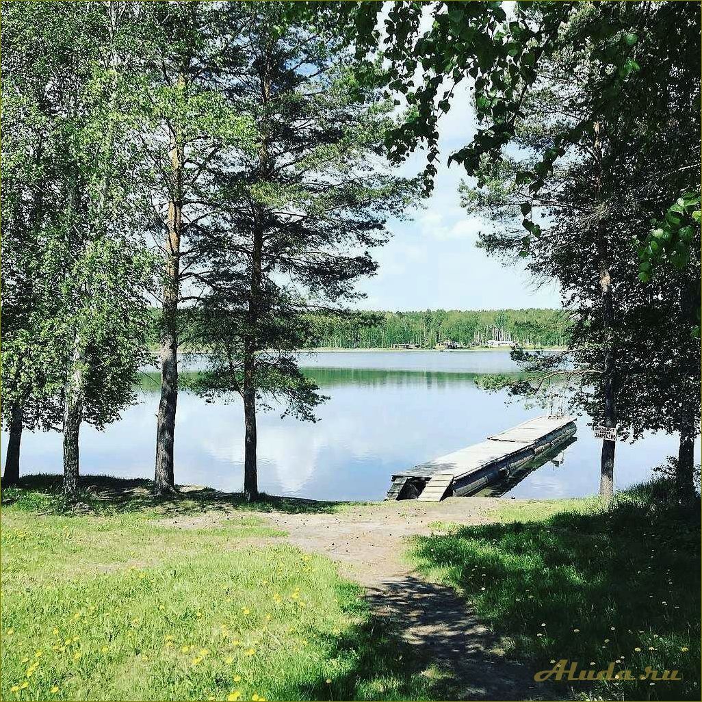 (лучшие, озера, омской, области, комфортного) Лучшие озера Омской области для комфортного и безопасного купания и отдыха