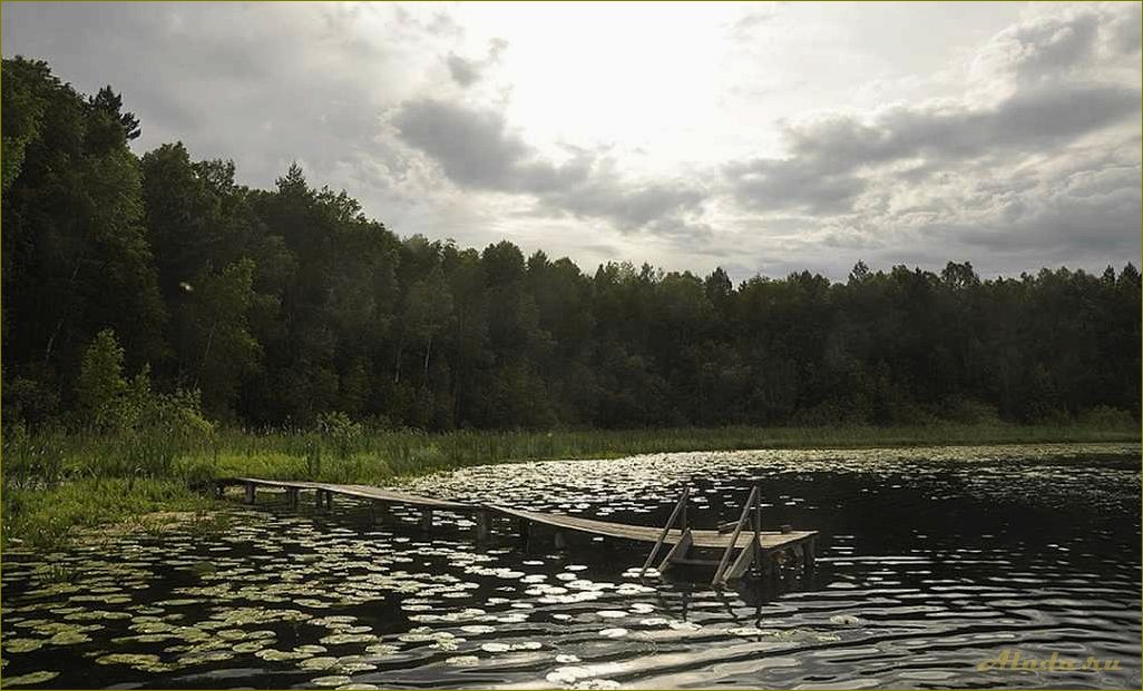 Лучшие озера Омской области для отдыха недалеко от Омска