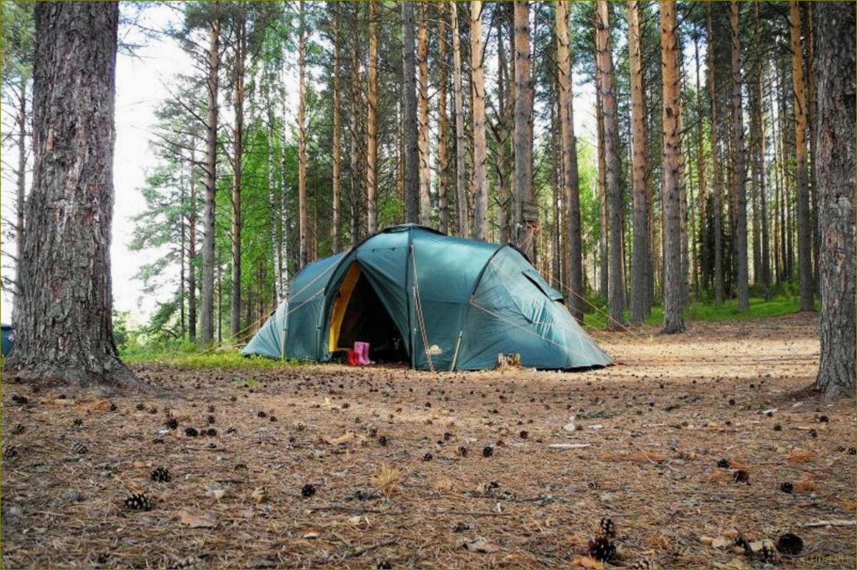 Лучшие озера Владимирской области, где можно отдохнуть в палатке и насладиться прекрасной природой