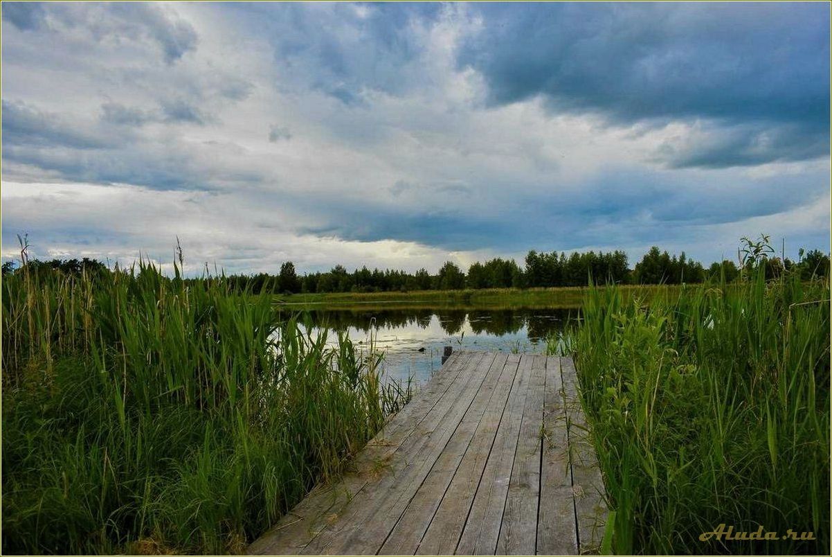 (парк, семейного, отдыха, некрасовский, идеальное) Парк семейного отдыха