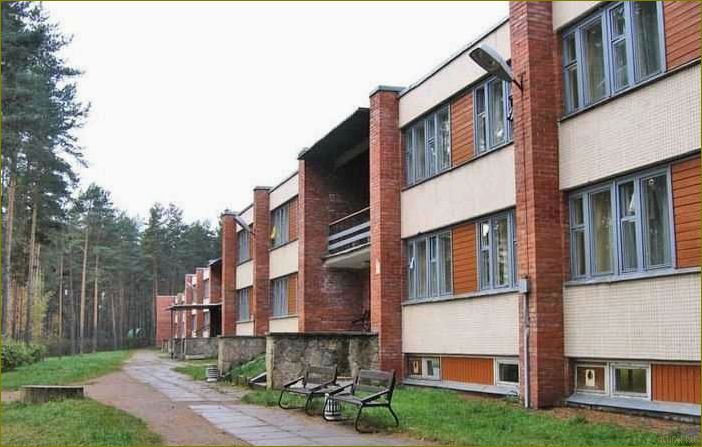 Петровское — прекрасная база отдыха в Ленинградской области, где можно насладиться природой и активным отдыхом