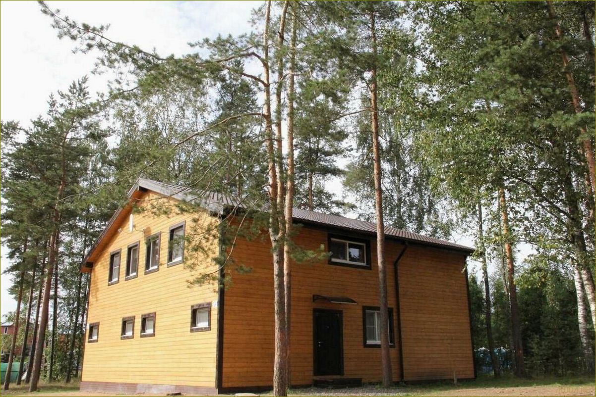 Петровское — прекрасная база отдыха в Ленинградской области, где можно насладиться природой и активным отдыхом