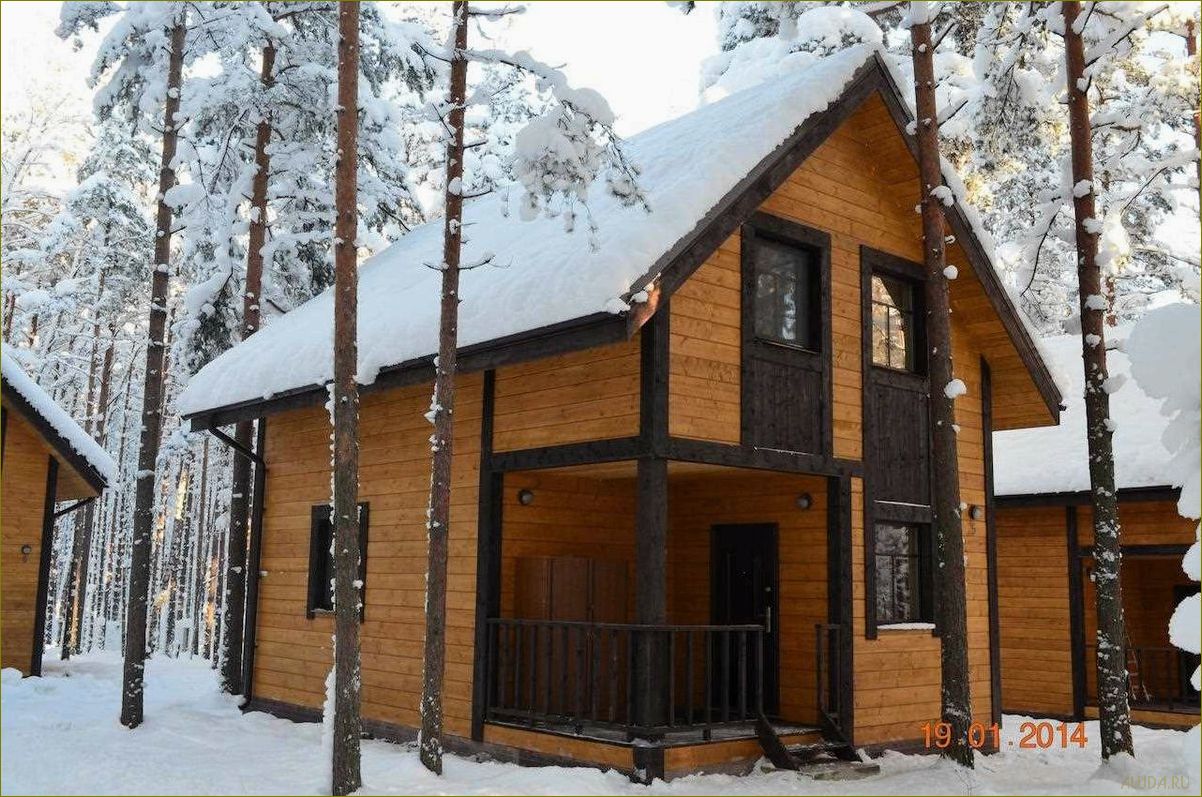 Петровское — прекрасная база отдыха в Ленинградской области, где можно насладиться природой и активным отдыхом