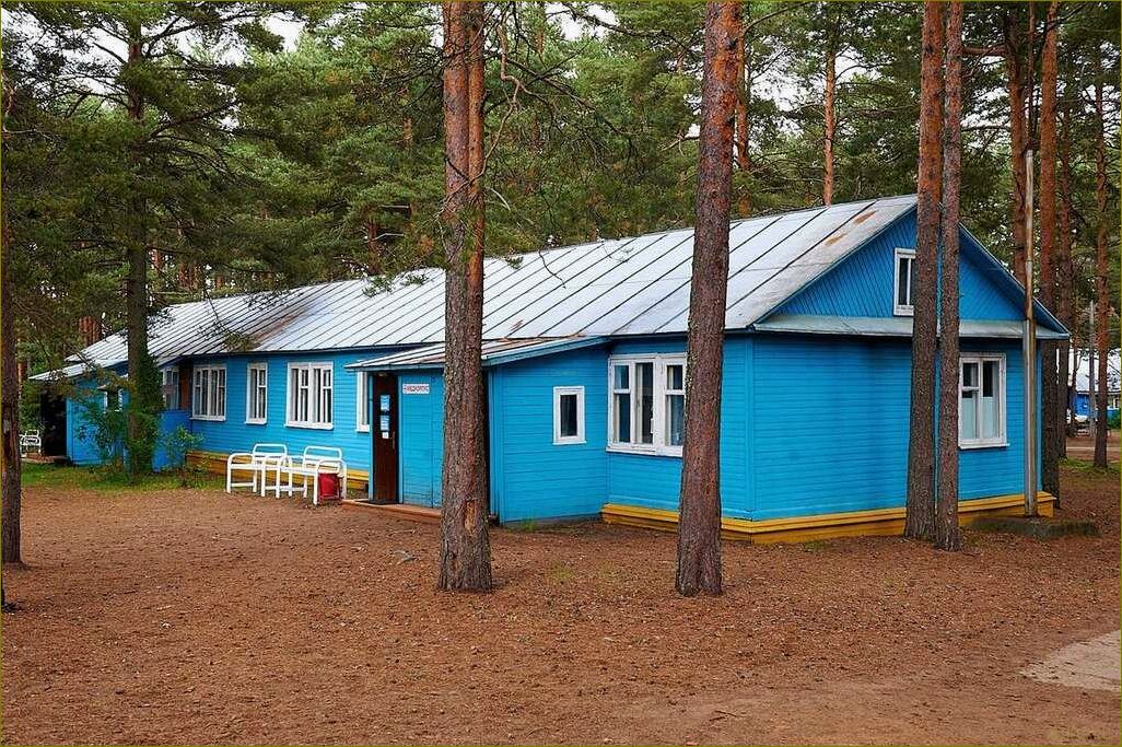 Путеводитель по Вологодской области — идеальное место для отдыха с ребенком