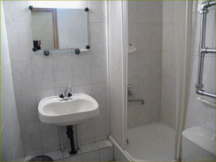 (база, отдыха, березки, московской, области) База отдыха