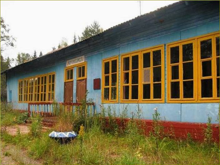 Лучшая база отдыха в Ивановской области для незабываемого летнего отпуска в окружении природы и комфорта
