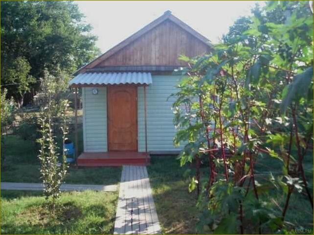 (уникальная, база, отдыха, востоке, астраханской) Уникальная база отдыха на востоке Астраханской области в Камызякском районе — наслаждайтесь природой и комфортом