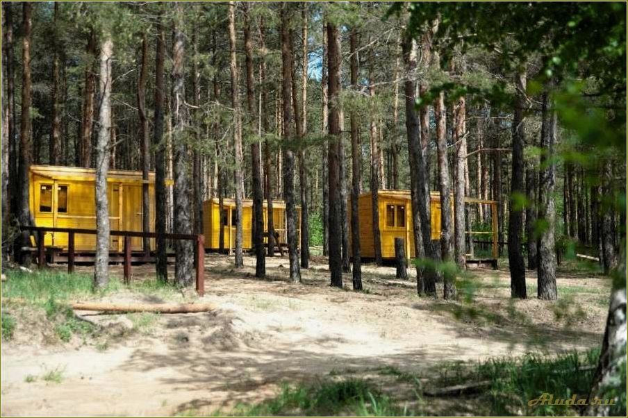 (база, отдыха, дубровке, шиловском, районе) База отдыха в Дубровке, Шиловском районе Рязанской области — комфортное место для отдыха и релаксации