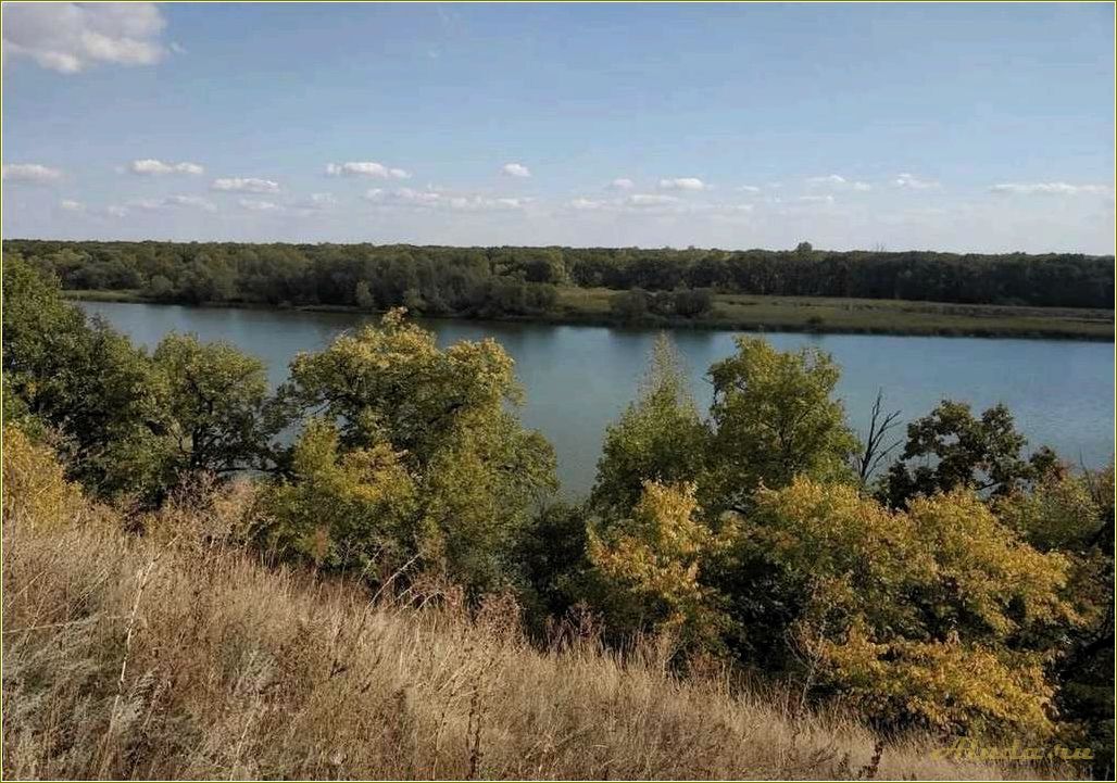(база, отдыха, елшанка, воскресенском, районе) База отдыха