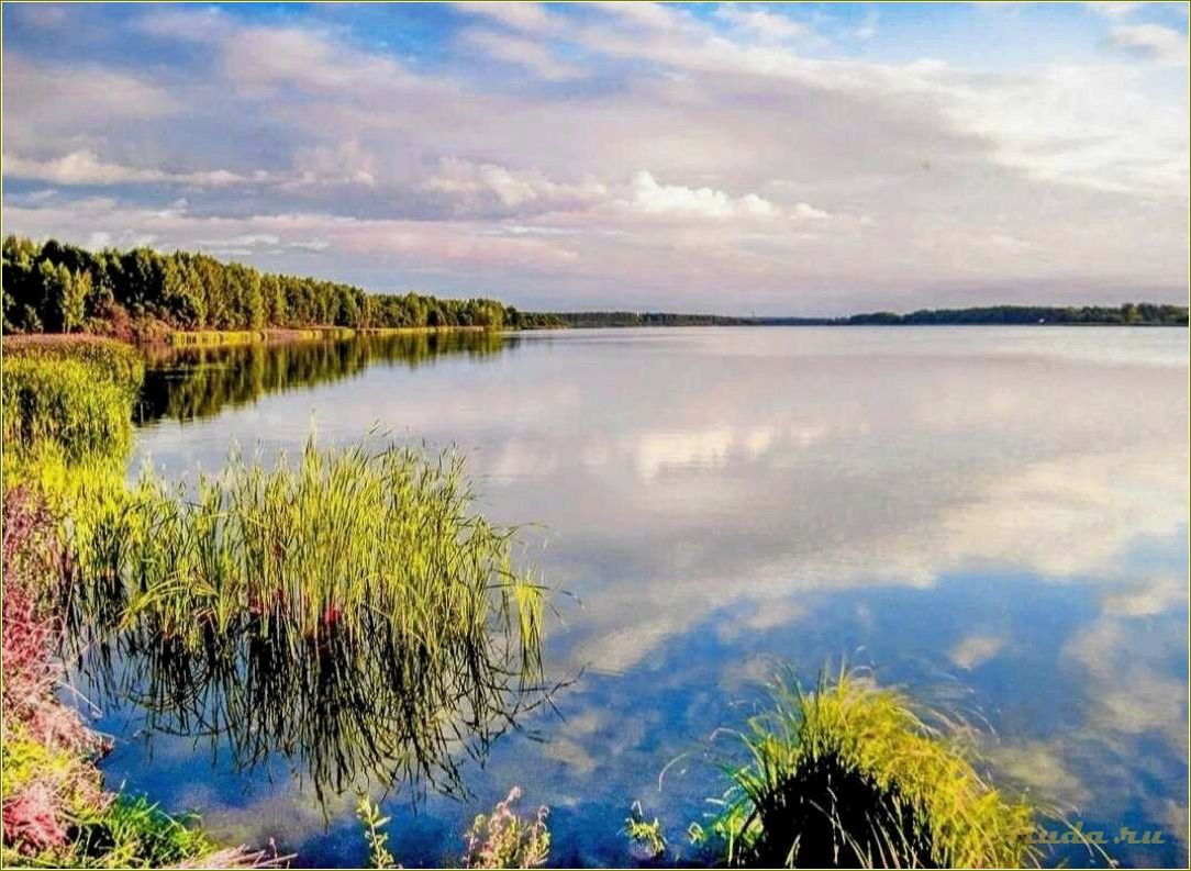 (керша, тамбовская, область, водохранилище, отдых) Керша: тамбовская область водохранилище отдых