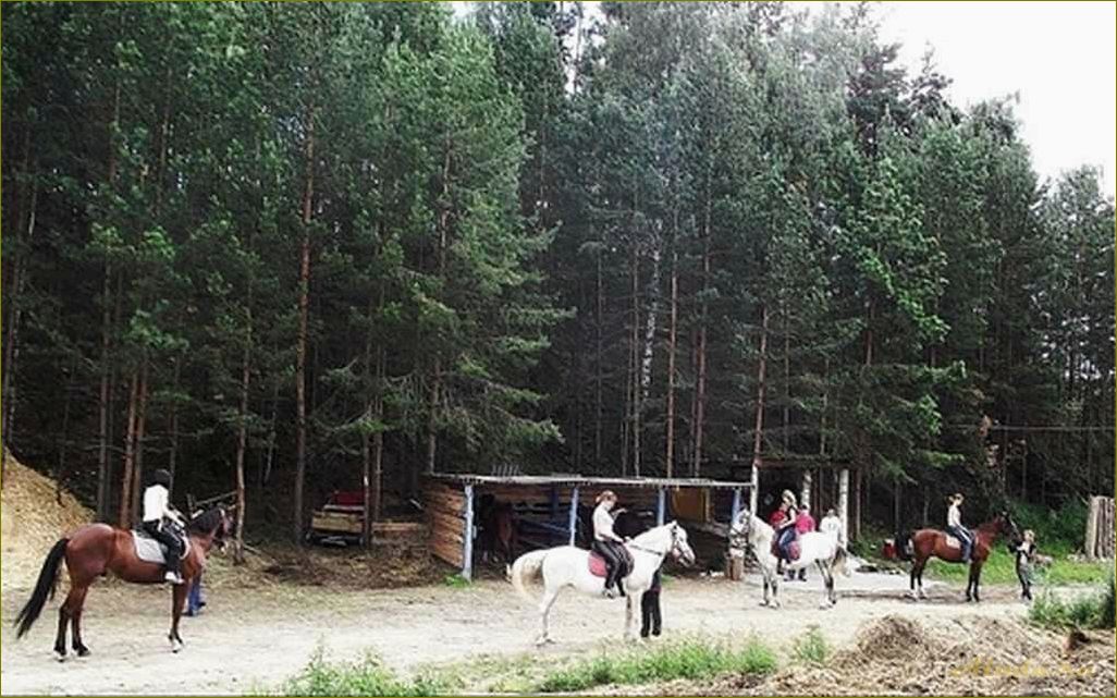 База отдыха 