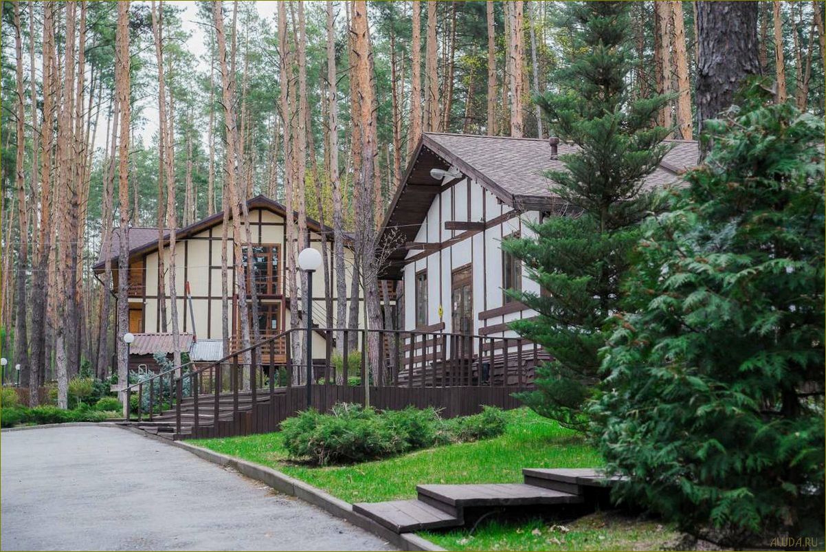 Липецкая область — лучшие базы отдыха и отели для идеального отпуска