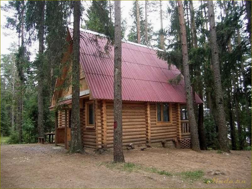 Путешествие в роскошные базы отдыха Новгородской области — выбираем самые лучшие и комфортные места для отдыха и развлечений