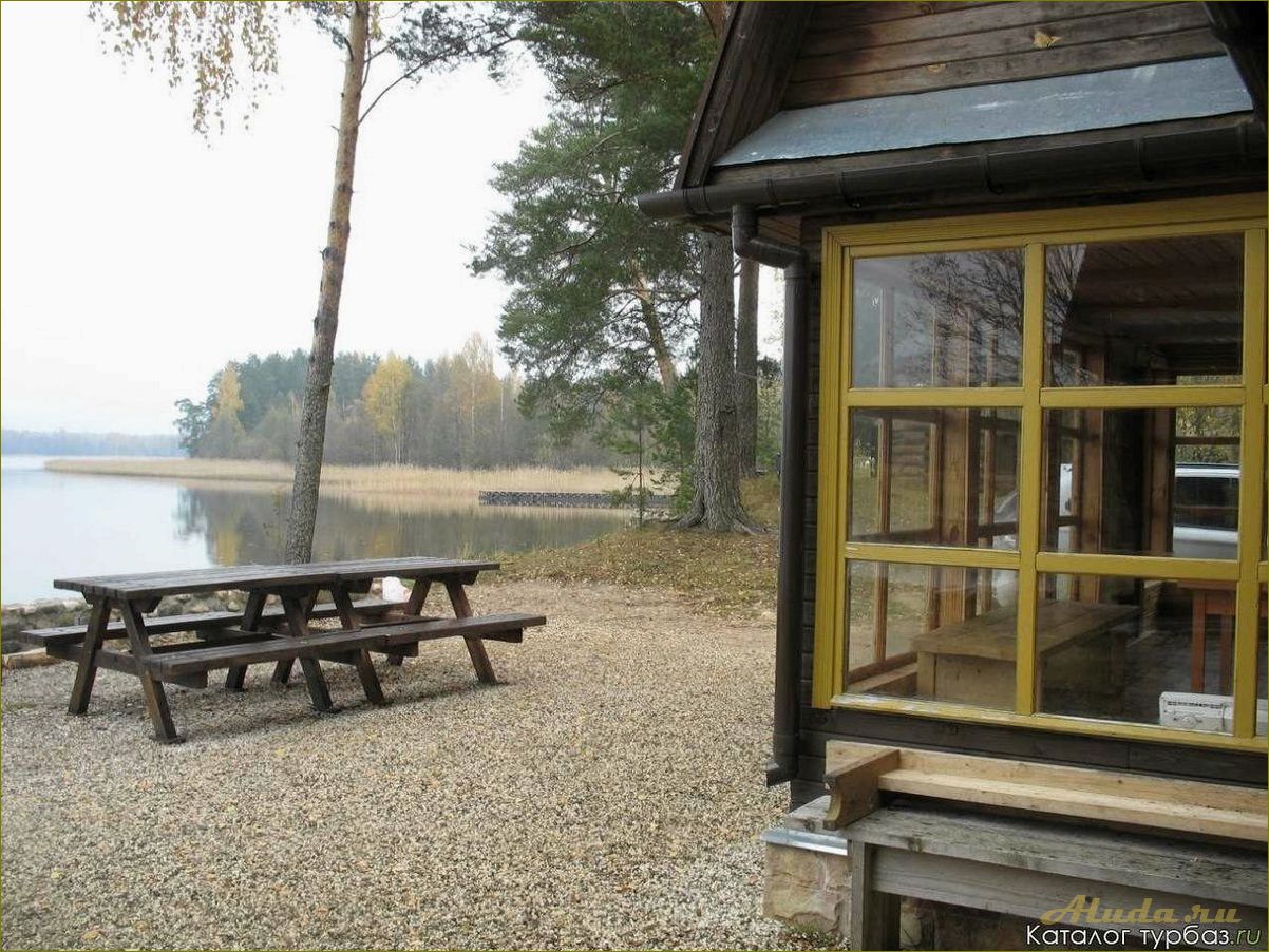 Медовец база отдыха в Новгородской области — ваш основной выбор для идеального отдыха