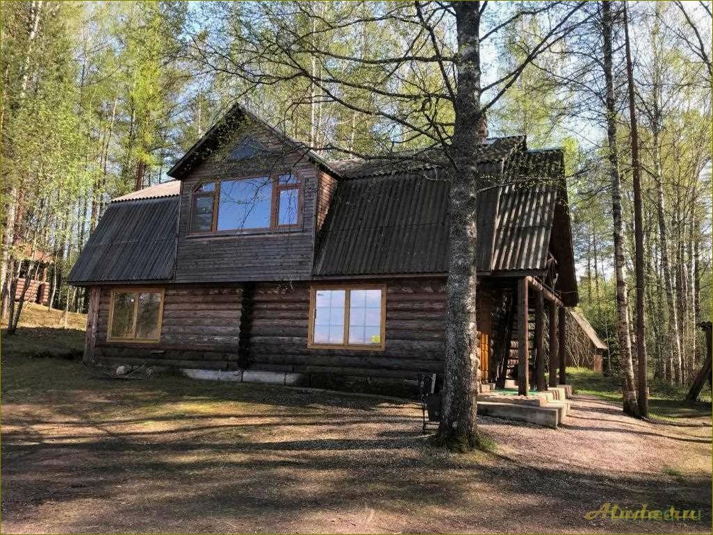 Медовец база отдыха в Новгородской области — ваш основной выбор для идеального отдыха