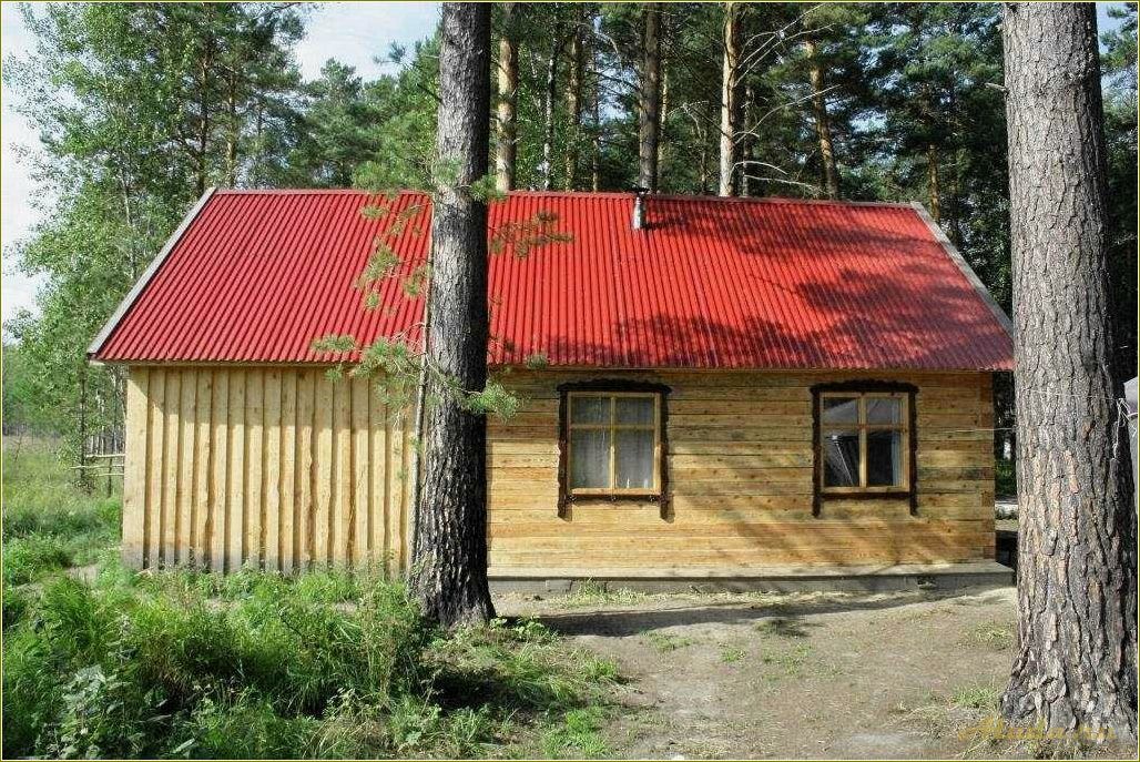 (отдых, базах, отдыха, томской, области) Отдых на базах отдыха Томской области