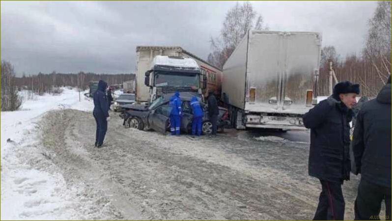 Отдых семьей в живописной Кемеровской области — лучшие места, развлечения и природные достопримечательности