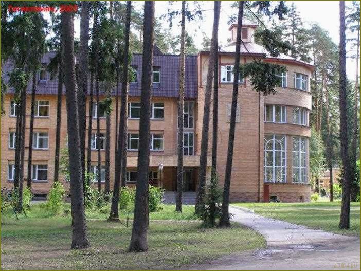 Необычные места для отдыха в кратове Московской области — от культурных достопримечательностей до экстремальных развлечений