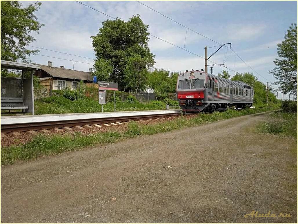 Отдых в вышгороде рязанской области — лучшие места, интересные достопримечательности и комфортное проживание