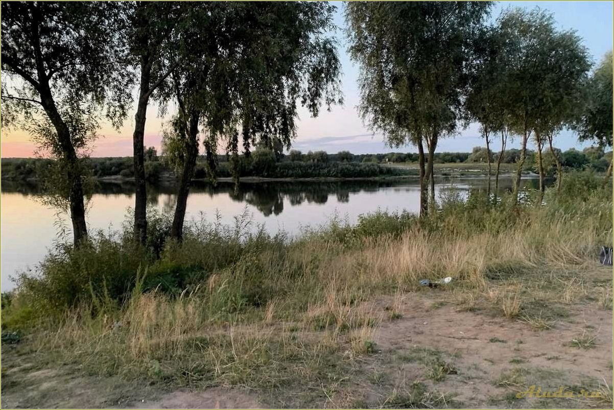 Отдых в вышгороде рязанской области — лучшие места, интересные достопримечательности и комфортное проживание