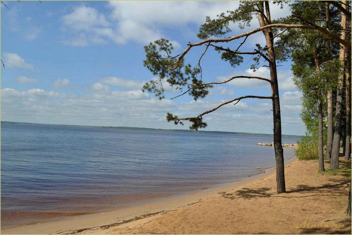 Отдых на Рыбинском водохранилище в Ярославской области с детьми