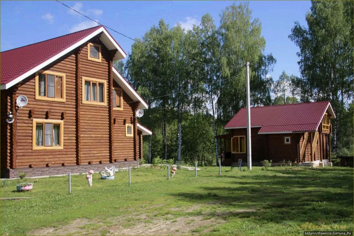 (лучшие, отели, нижегородской, области, незабываемого) Лучшие отели Нижегородской области для незабываемого отдыха и полного релакса