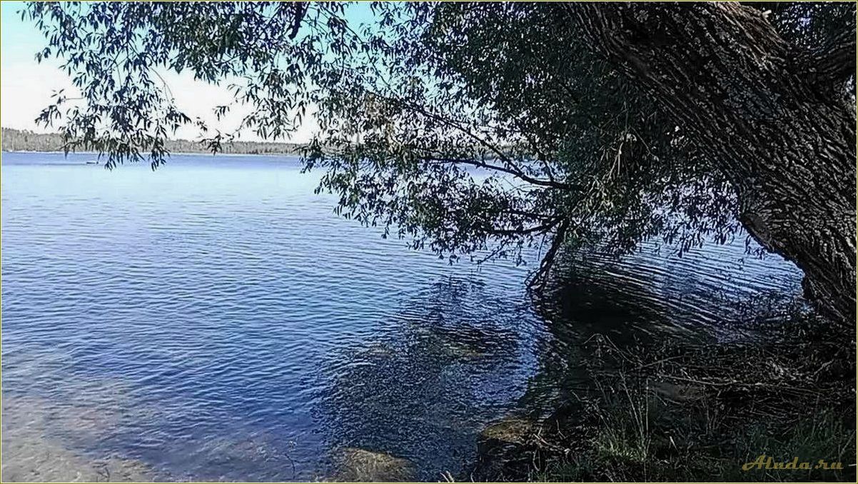 Озера Ульяновской области для отдыха