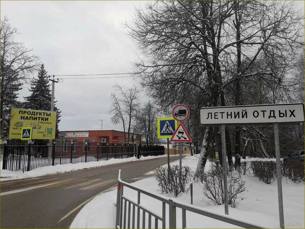 Летний отдых в Московской области — погода, развлечения и активности на природе