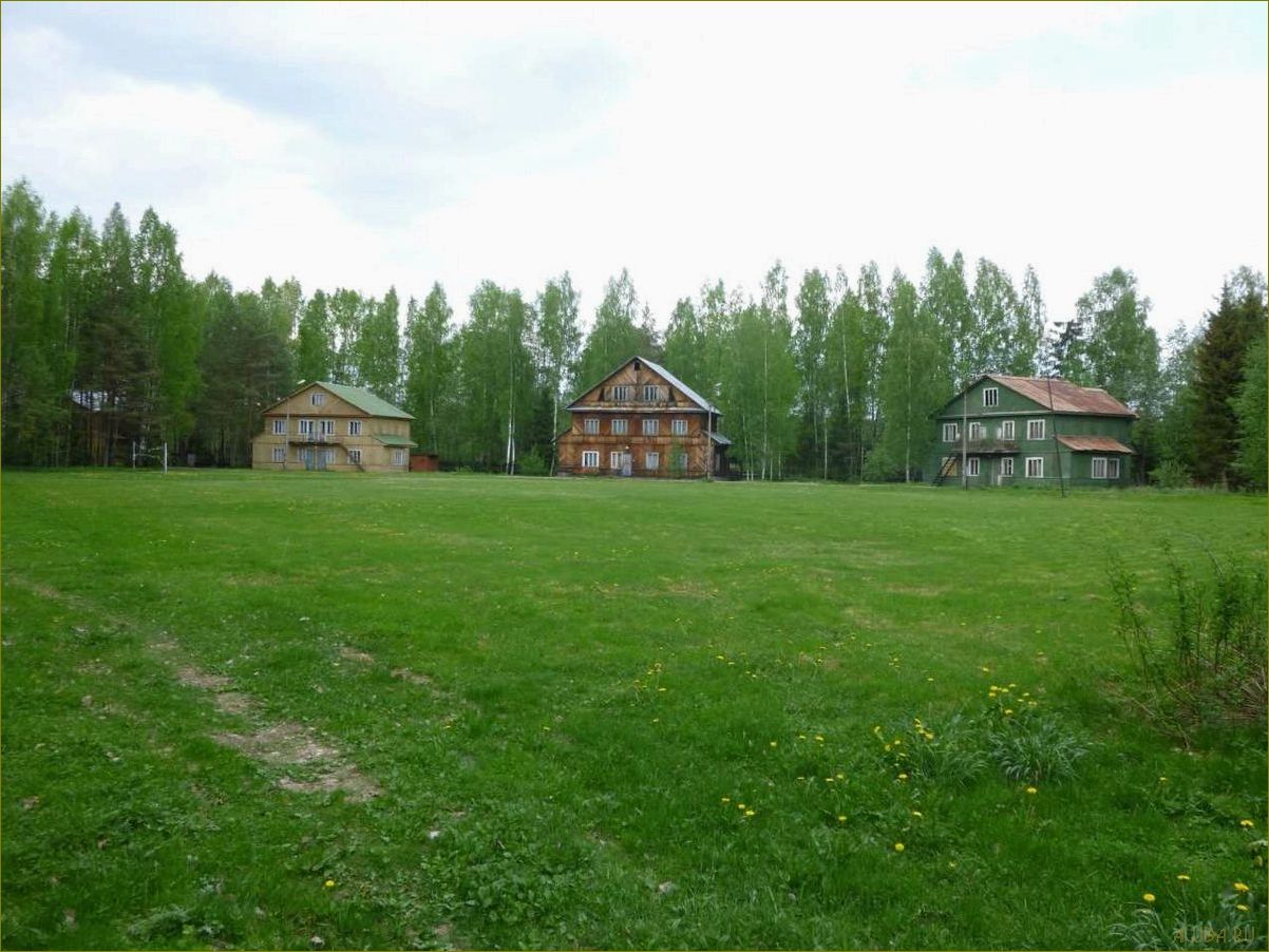 (продается, уникальная, база, отдыха, живописной) Продается уникальная база отдыха в живописной Ленинградской области — идеальное место для отдыха и релаксации!