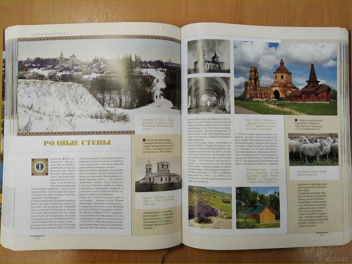 (воронежская, область, путешествие, книг, история) Воронежская область — путешествие в мир книг, где история и литература воплощаются в удивительных приключениях