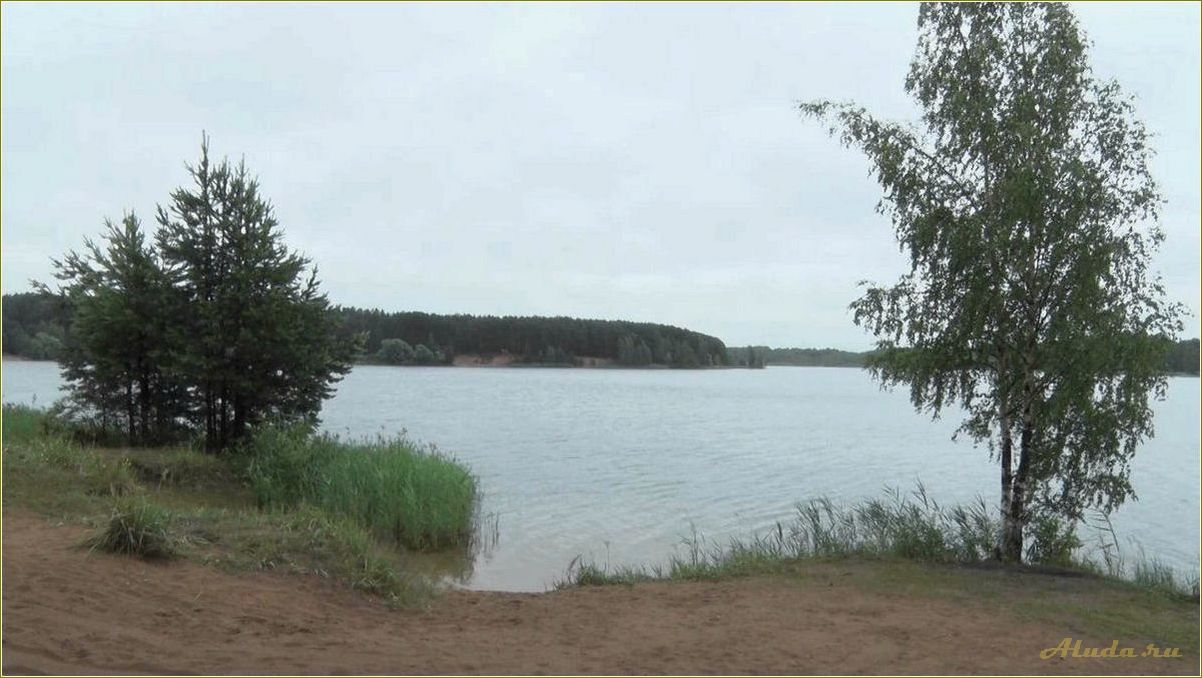 (возможности, карьерного, роста, сфере, отдыха) Возможности карьерного роста в сфере отдыха в Ярославской области