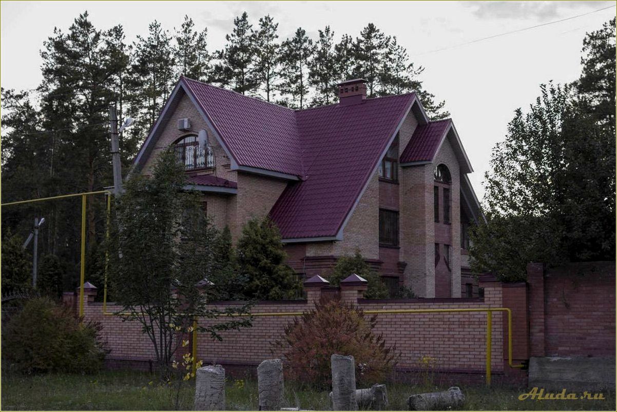 Жареный бугор базы отдыха в самарской области — идеальное место для активного отдыха и релаксации