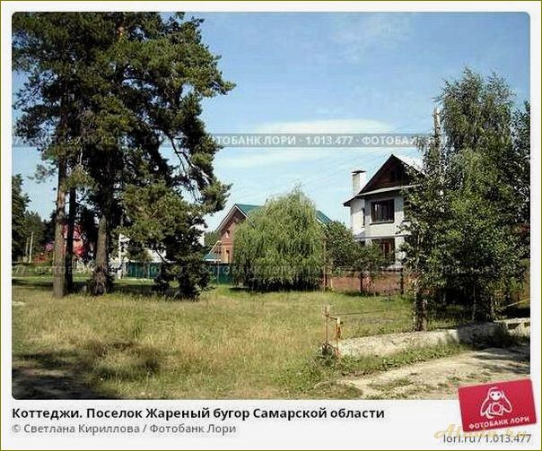 Жареный бугор базы отдыха в самарской области — идеальное место для активного отдыха и релаксации