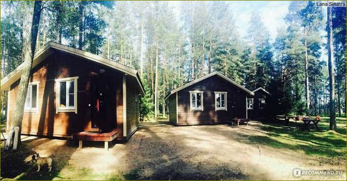 (база, копанская, отдыха, ленинградская, область) База копанская отдыха ленинградская область — идеальное место для расслабления и активного времяпрепровождения в живописном уголке России