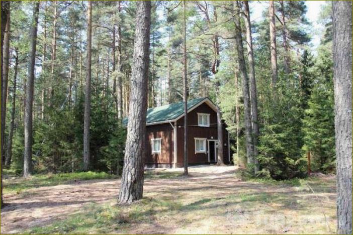 (база, копанская, отдыха, ленинградская, область) База копанская отдыха ленинградская область — идеальное место для расслабления и активного времяпрепровождения в живописном уголке России