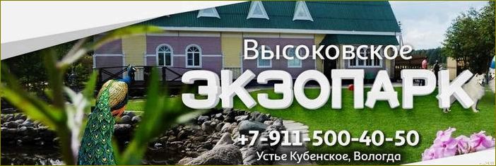 (база, отдыха, экзопарк, вологодская, область) База отдыха экзопарк Вологодская область — идеальное место для активного отдыха и знакомства с удивительным миром природы